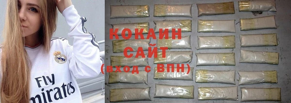 соль ск Алексин