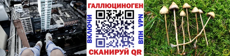купить наркоту  Салехард  Галлюциногенные грибы MAGIC MUSHROOMS 